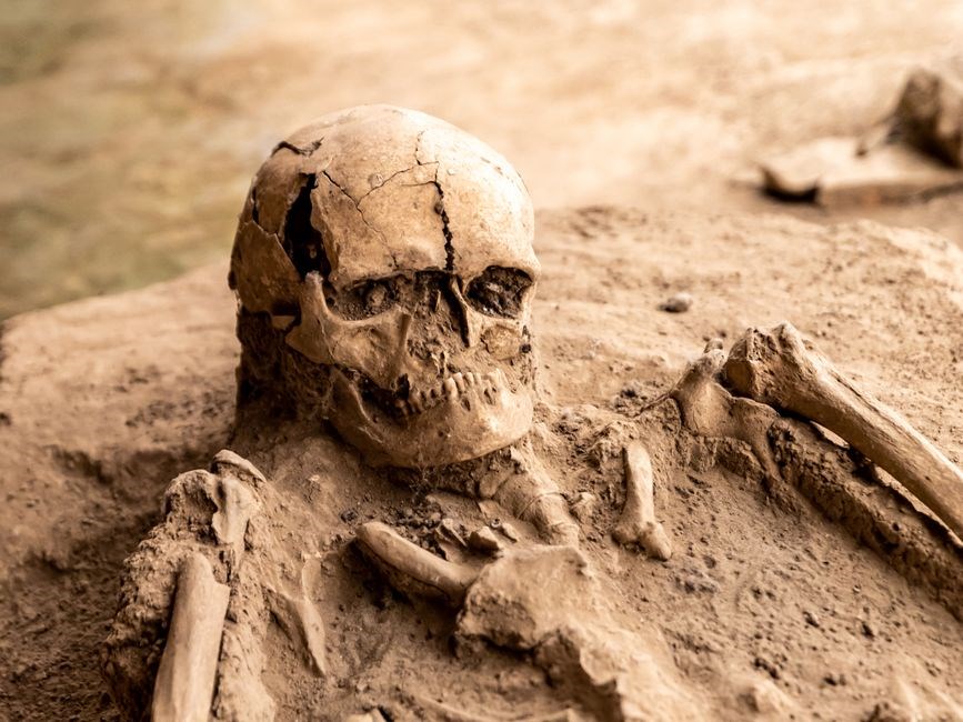 writing down the bones pdf